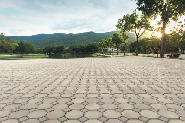 Paver Driveway Replacement in Olympia, WA